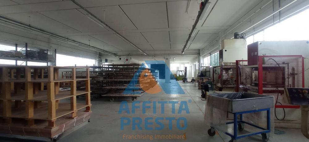 Capannone industriale in vendita a Castelfiorentino - Capannone industriale in vendita a Castelfiorentino