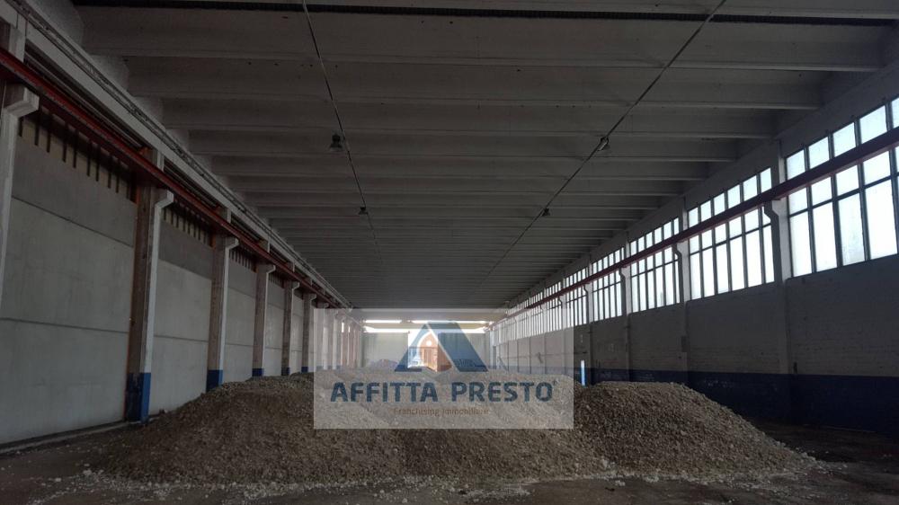 immagine annuncio 2 di 4