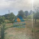 Terreno agricolo in vendita a Cerreto Guidi
