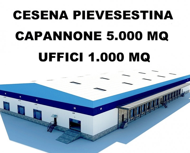capannone in vendita a Cesena