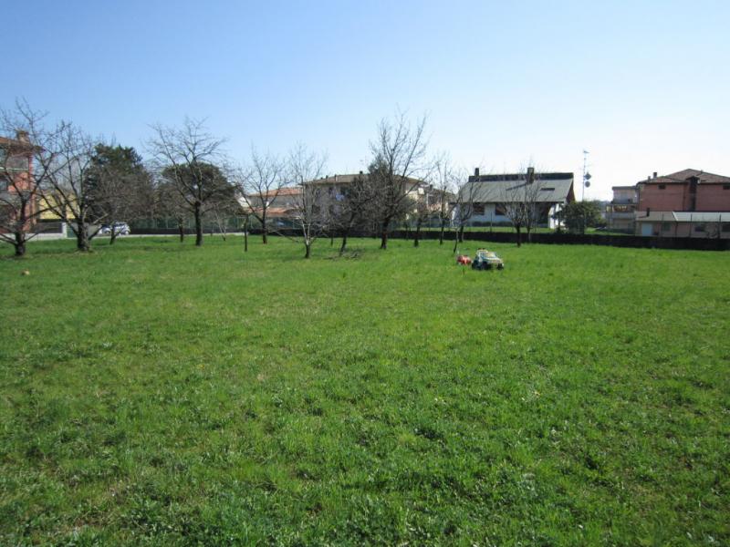 immagine annuncio 2 di 3