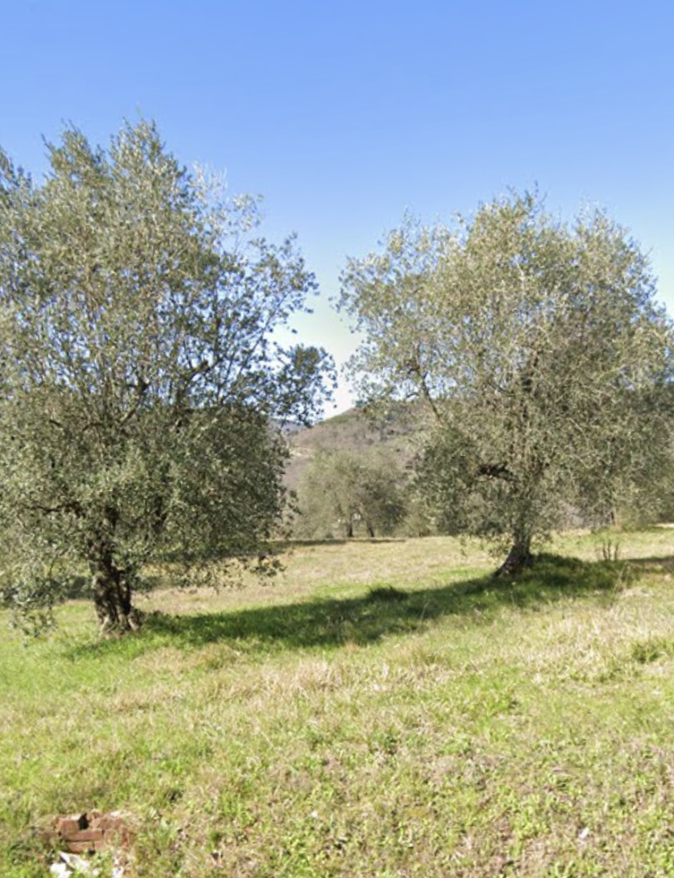 immagine annuncio 1 di 3