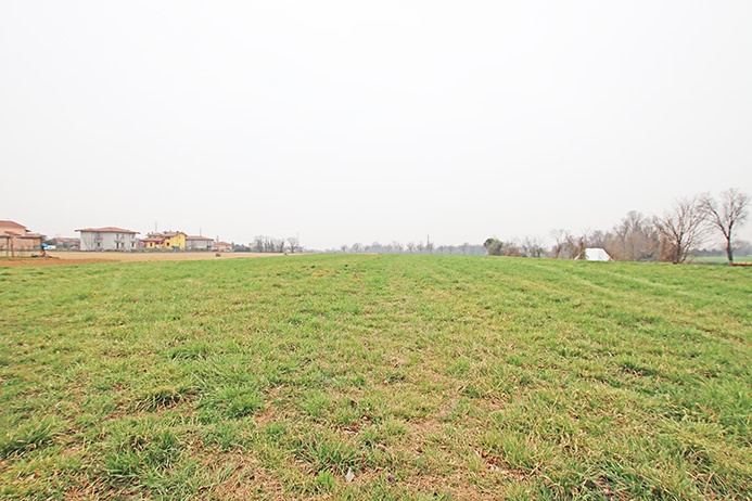terreno agricolo in vendita a Grignano