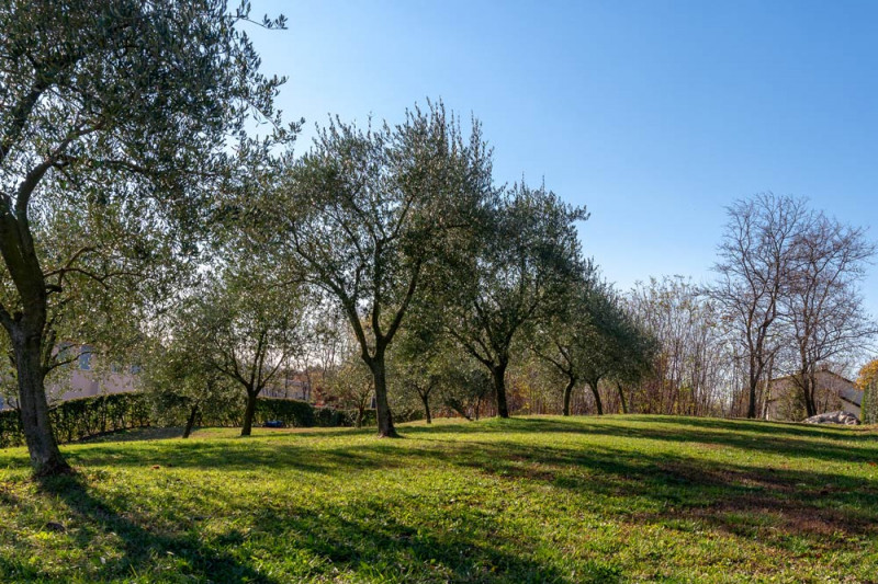 Terreno residenziale in vendita a crocetta-del-montello - Terreno residenziale in vendita a crocetta-del-montello