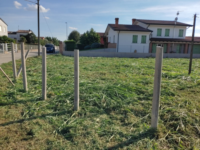 immagine annuncio 1 di 4