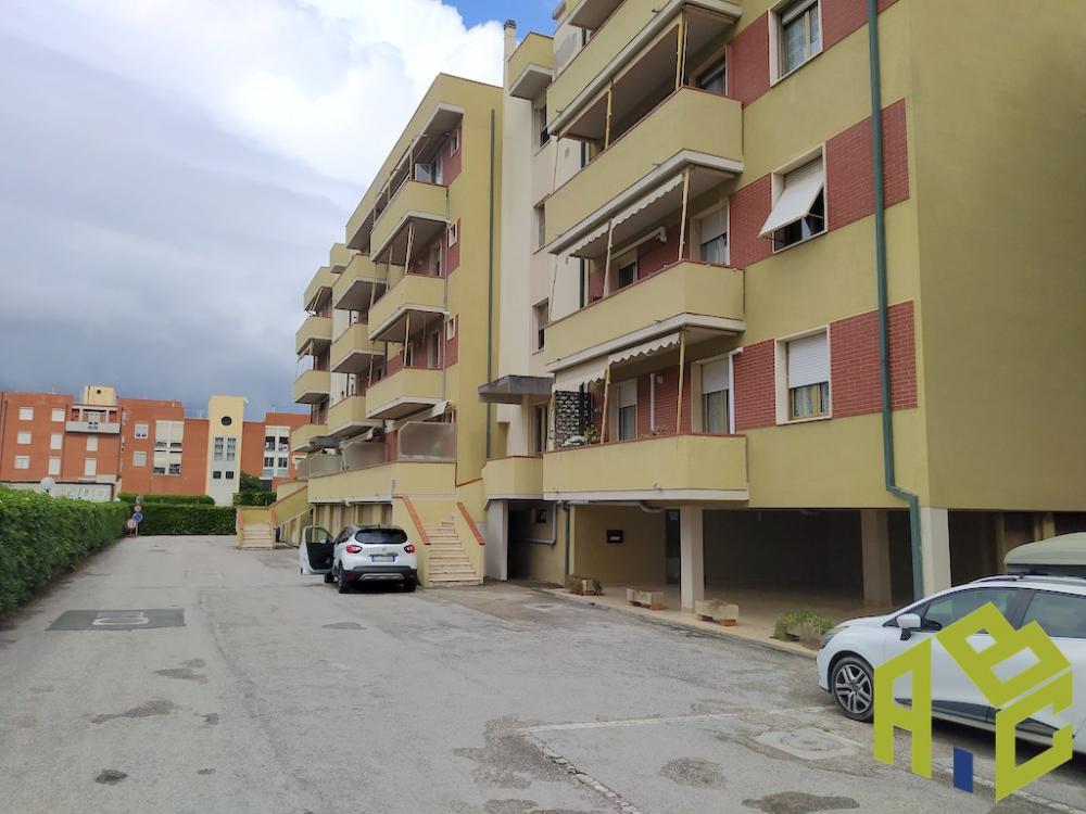 Appartamento quadrilocale in vendita a rosignano-marittimo - Appartamento quadrilocale in vendita a rosignano-marittimo