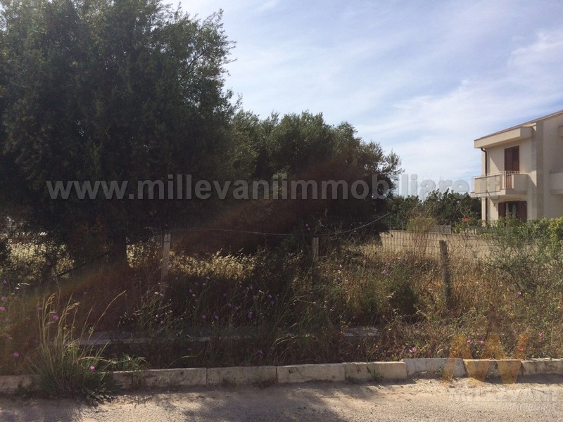 immagine annuncio 2 di 3