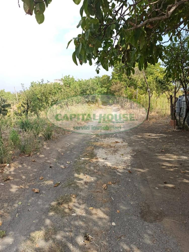 terreno agricolo in vendita a Somma Vesuviana