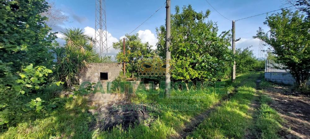 Terreno agricolo in vendita a Striano - Terreno agricolo in vendita a Striano