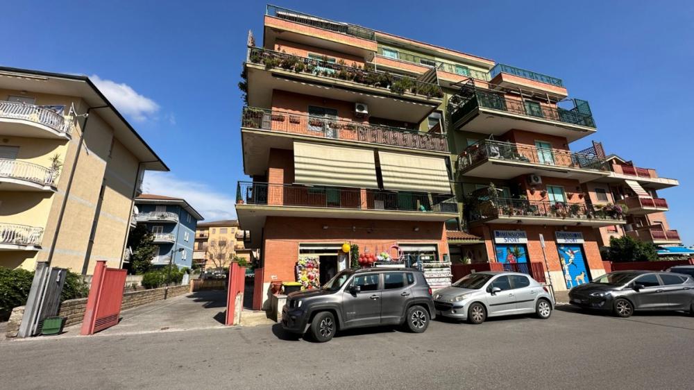 immagine annuncio 2 di 4