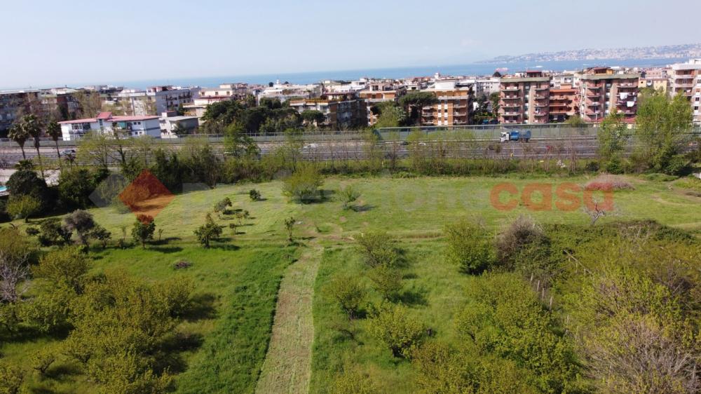 Terreno agricolo in affitto a san giorgio a cremano - Terreno agricolo in affitto a san giorgio a cremano
