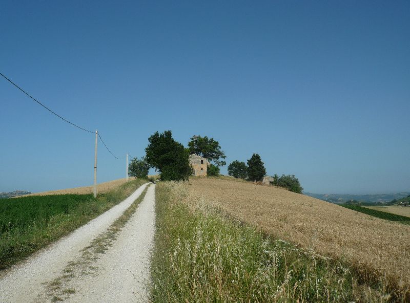 immagine annuncio 2 di 3