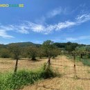 Terreno agricolo in vendita a Guidonia Montecelio