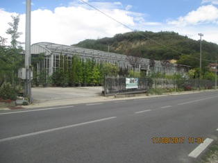 21338504.JPG - Azienda agricola quadrilocale in vendita a san-damiano-d-asti