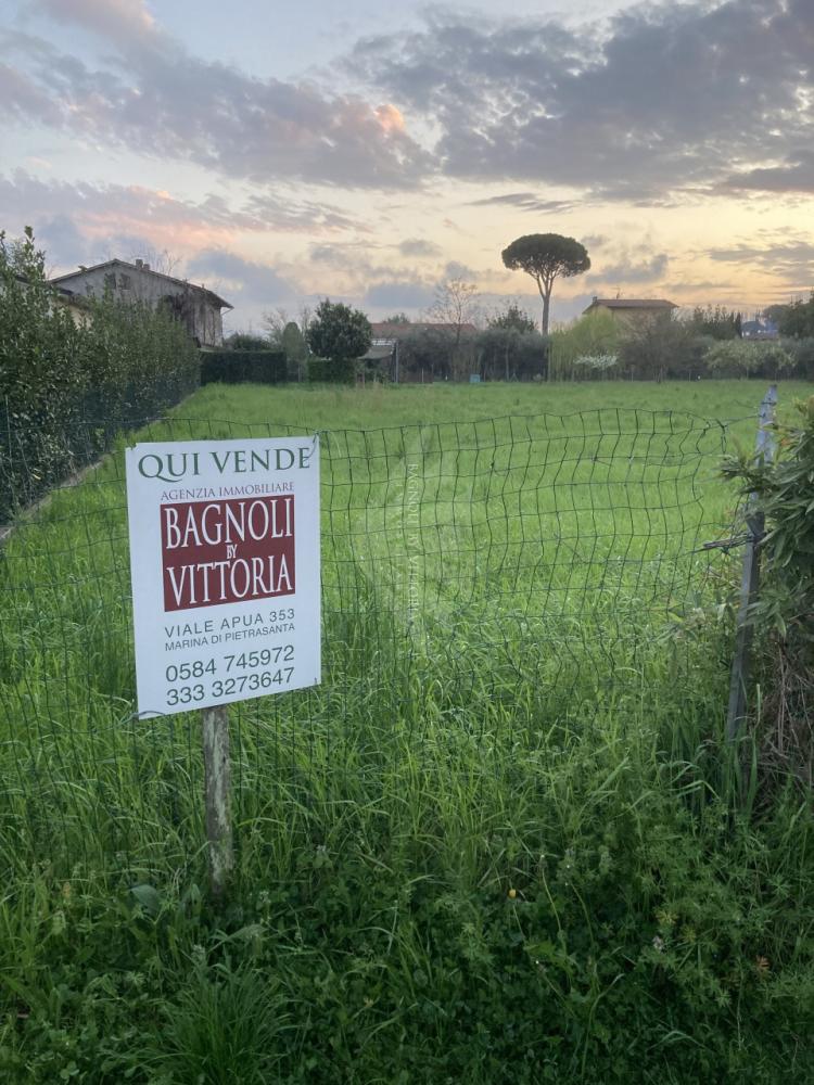 terreno agricolo in vendita a Pietrasanta