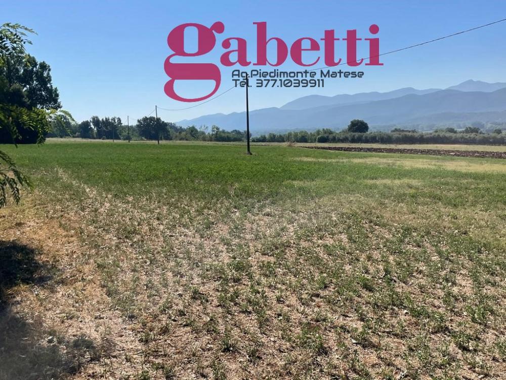 Terreno agricolo in vendita a raviscanina - Terreno agricolo in vendita a raviscanina