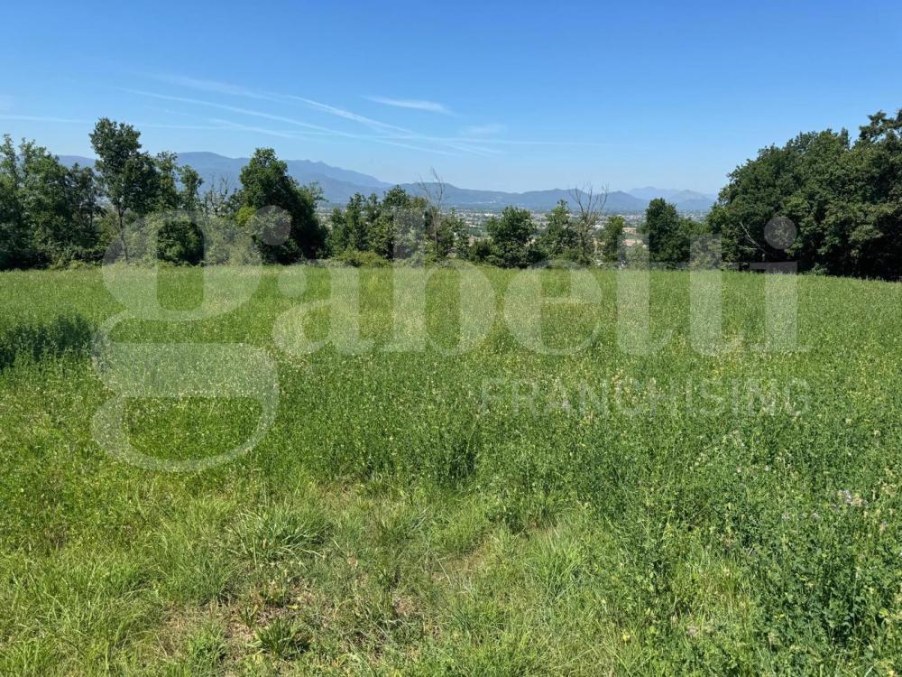 Terreno agricolo in vendita a san potito sannitico - Terreno agricolo in vendita a san potito sannitico