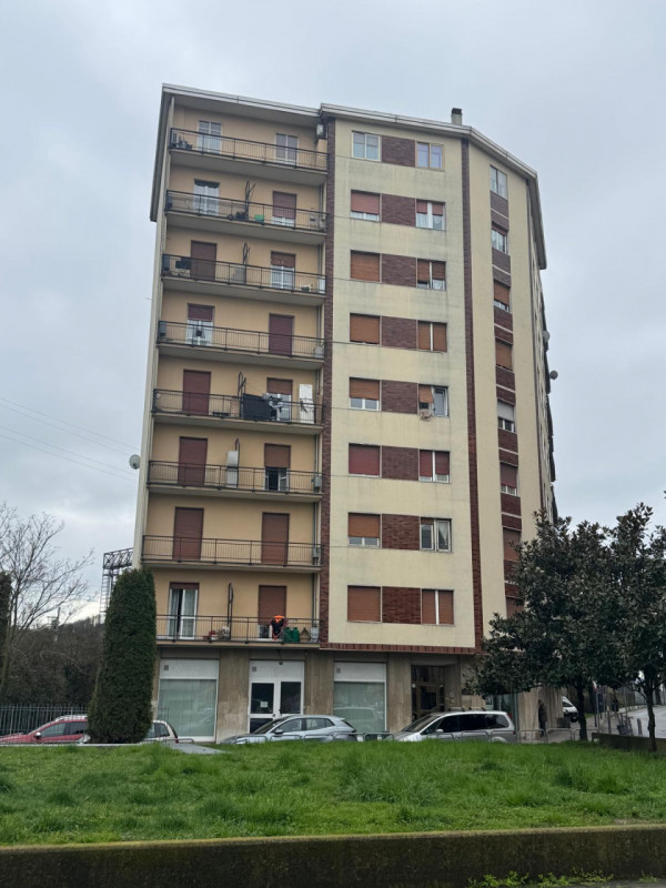immagine annuncio 1 di 2