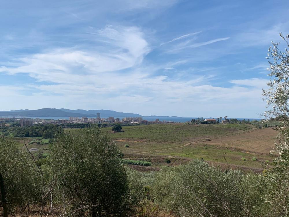 immagine annuncio 2 di 3