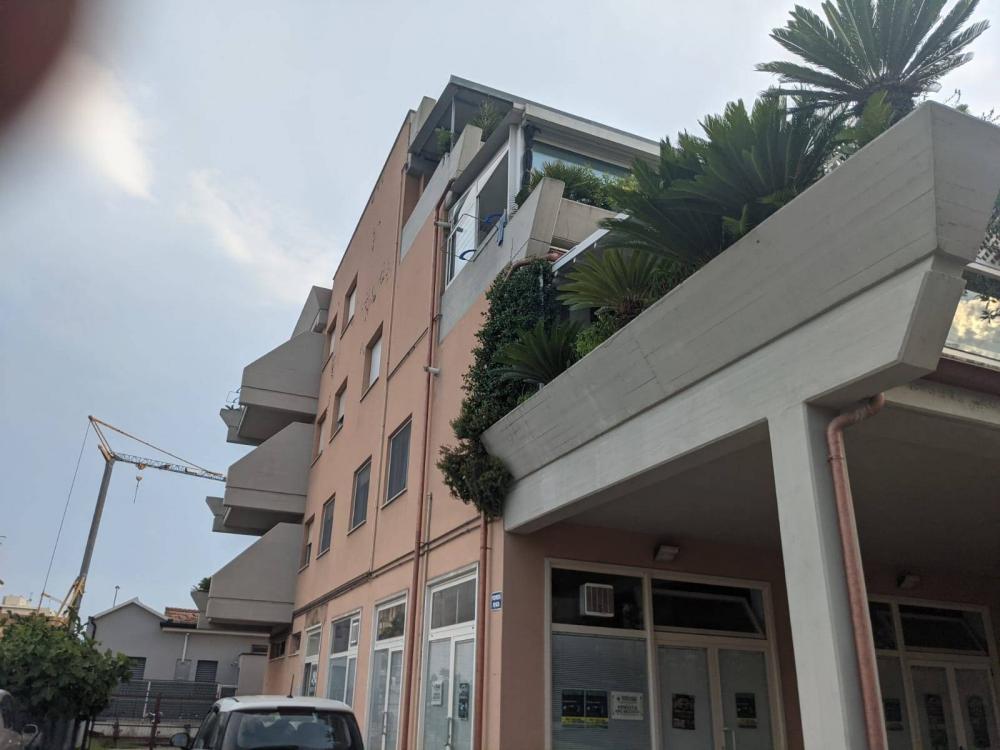 immagine annuncio 2 di 3