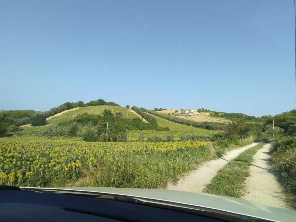 immagine annuncio 2 di 3