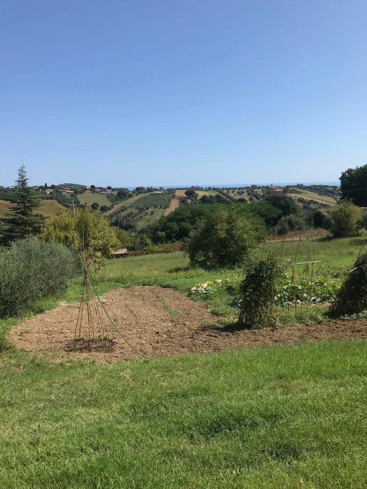 immagine annuncio 1 di 2