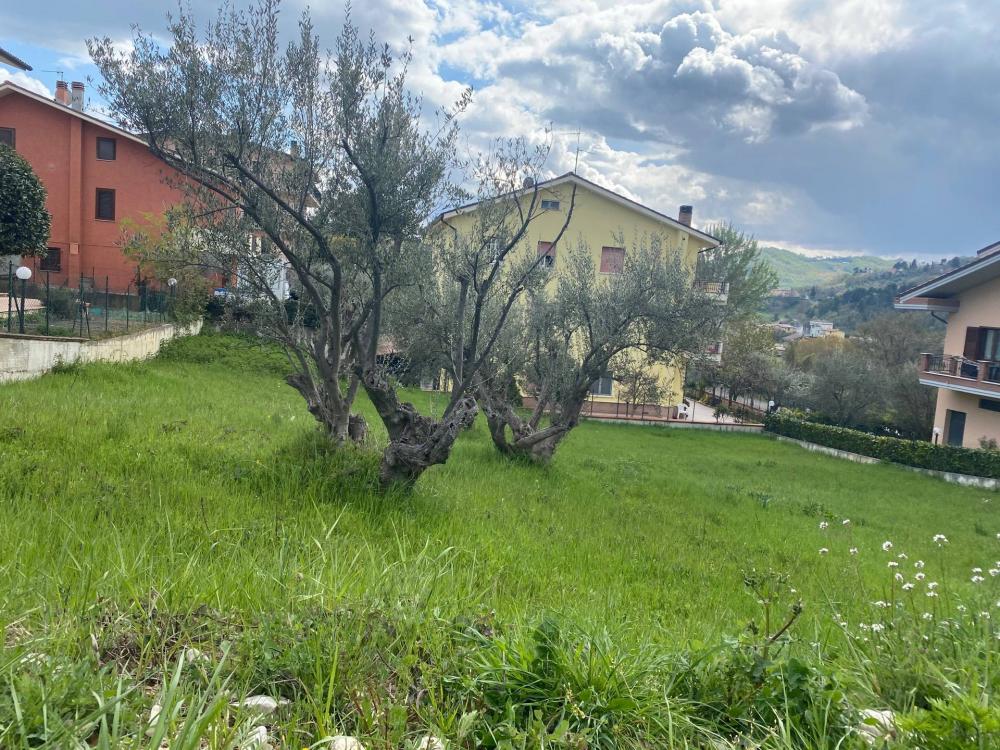 immagine annuncio 1 di 4