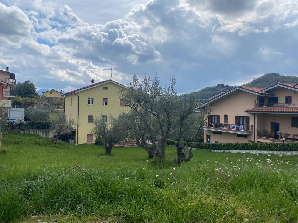 immagine annuncio 2 di 4