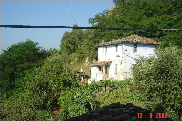 immagine annuncio 1 di 4