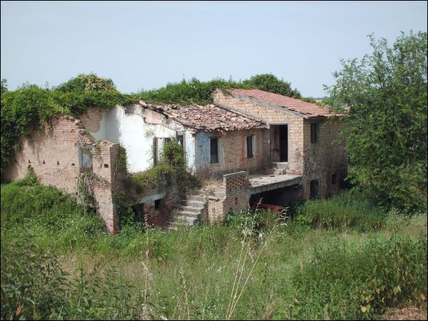 immagine annuncio 1 di 2