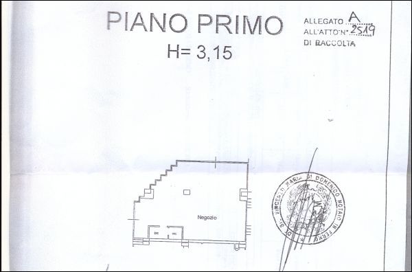 immagine annuncio 1 di 2