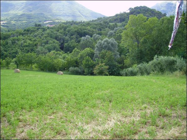 Terreno agricolo in vendita a Civitella del Tronto - Terreno agricolo in vendita a Civitella del Tronto