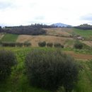 Terreno agricolo in vendita a Ascoli Piceno