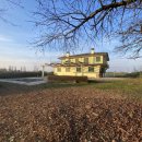 Casa trilocale in vendita a polverara