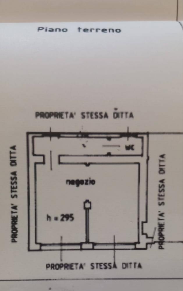 immagine annuncio 1 di 2