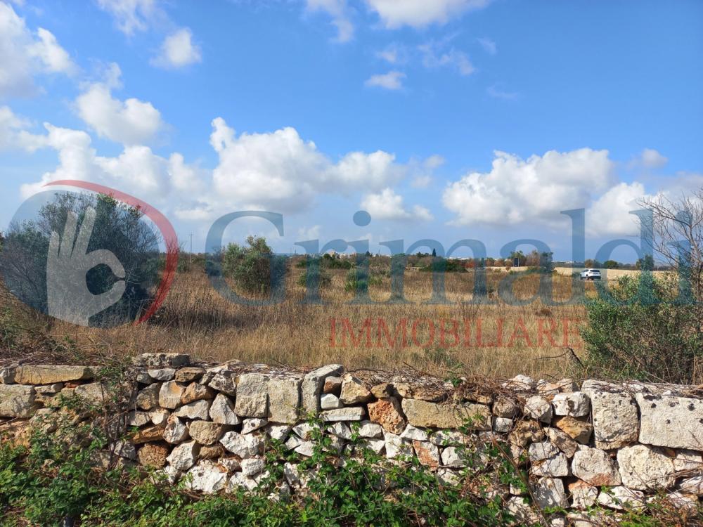 Terreno agricolo in vendita a ugento - Terreno agricolo in vendita a ugento