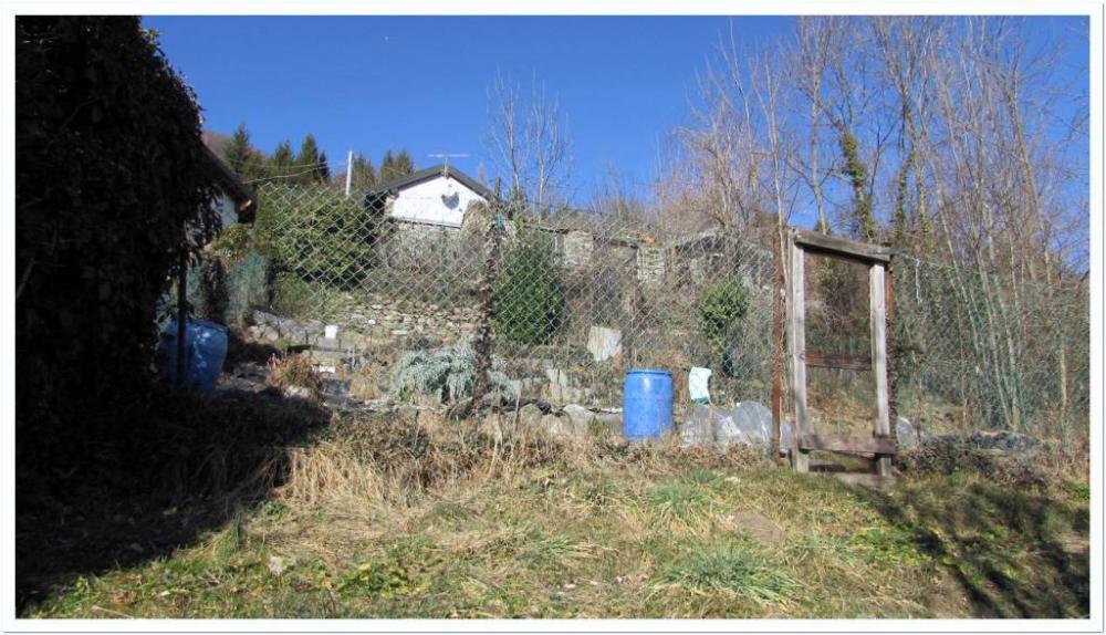 immagine annuncio 2 di 4