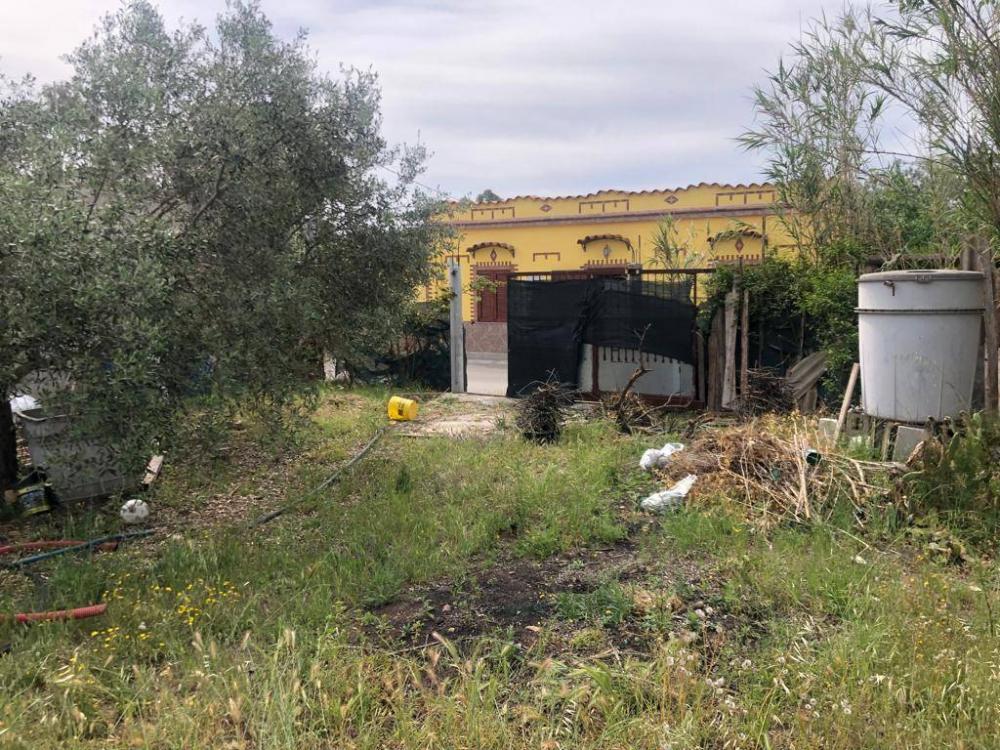 immagine annuncio 3 di 4