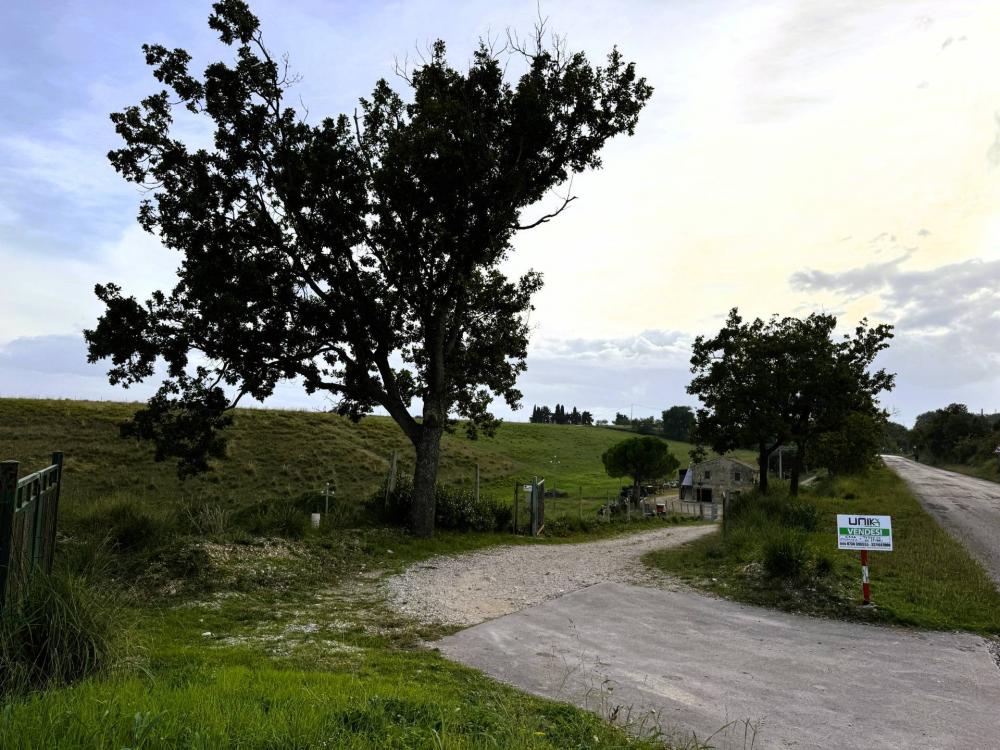 Rustico / casale plurilocale in vendita a Lapedona - Rustico / casale plurilocale in vendita a Lapedona