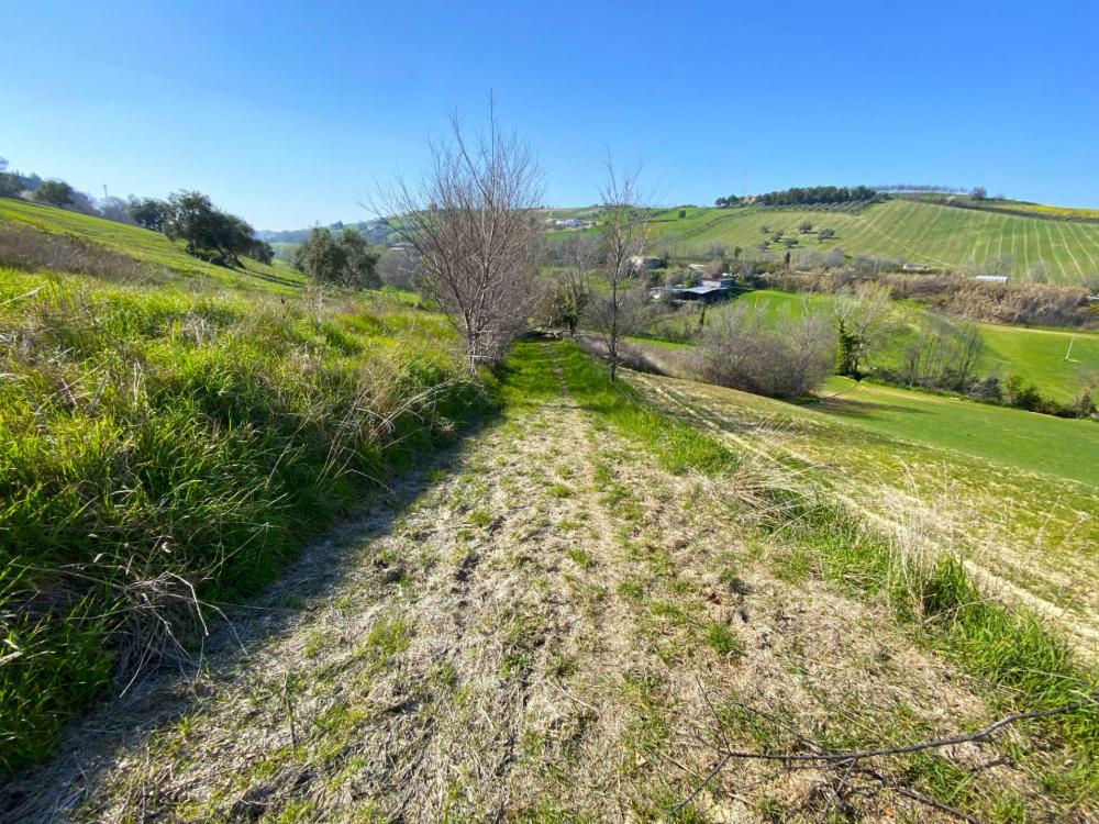 Terreno agricolo in vendita a Porto San Giorgio - Terreno agricolo in vendita a Porto San Giorgio