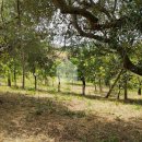 Terreno agricolo in vendita a Macerata