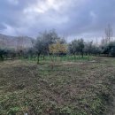 Terreno agricolo in vendita a Maddaloni