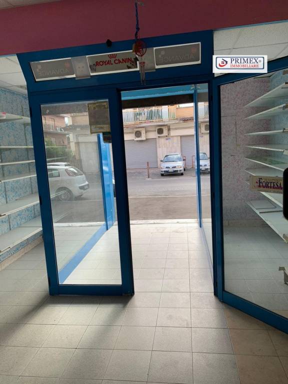 bcbf4c29a3d9c95e67a4d9f042b7ff76 - Azienda commerciale bilocale in affitto a Roma