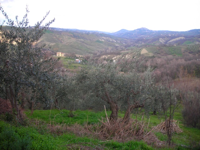 immagine annuncio 2 di 3