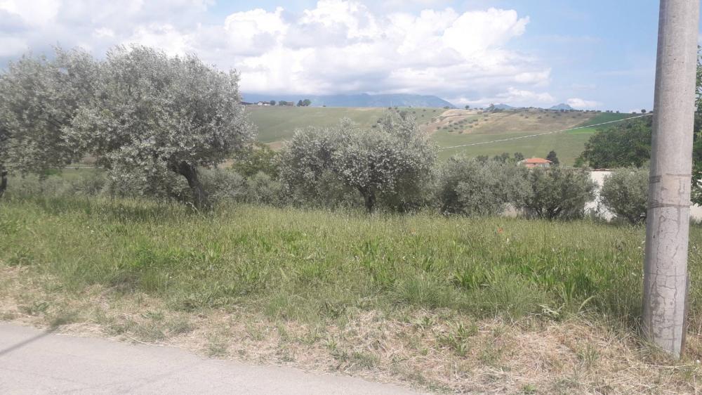 immagine annuncio 3 di 4