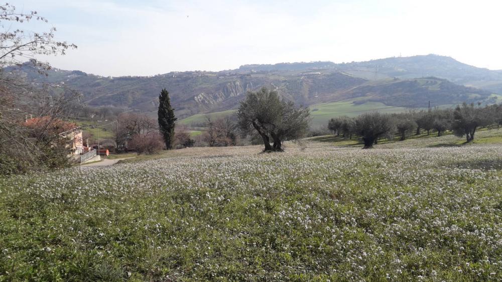 Terreno residenziale in vendita a Casalincontrada - Terreno residenziale in vendita a Casalincontrada