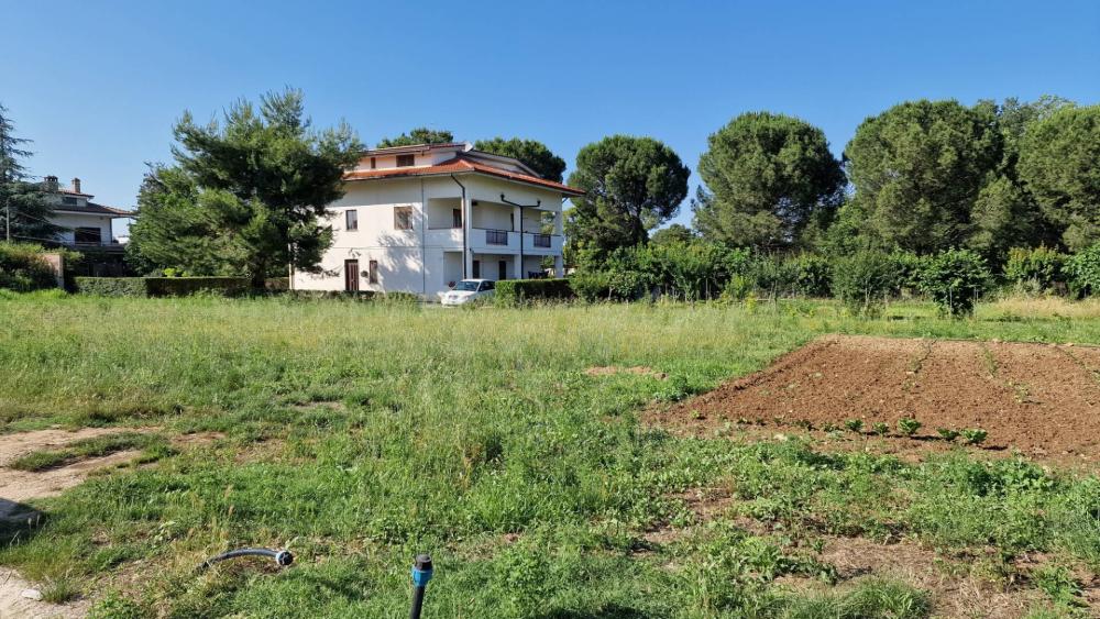 immagine annuncio 2 di 4