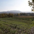 Terreno agricolo in vendita a Cepagatti