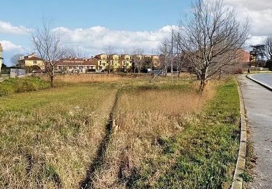 immagine annuncio 1 di 4