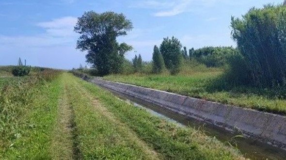 immagine annuncio 1 di 4